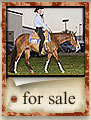 Click to view our horses for sale