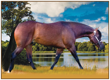 Lazy Lope AQHA World Champion Stallion